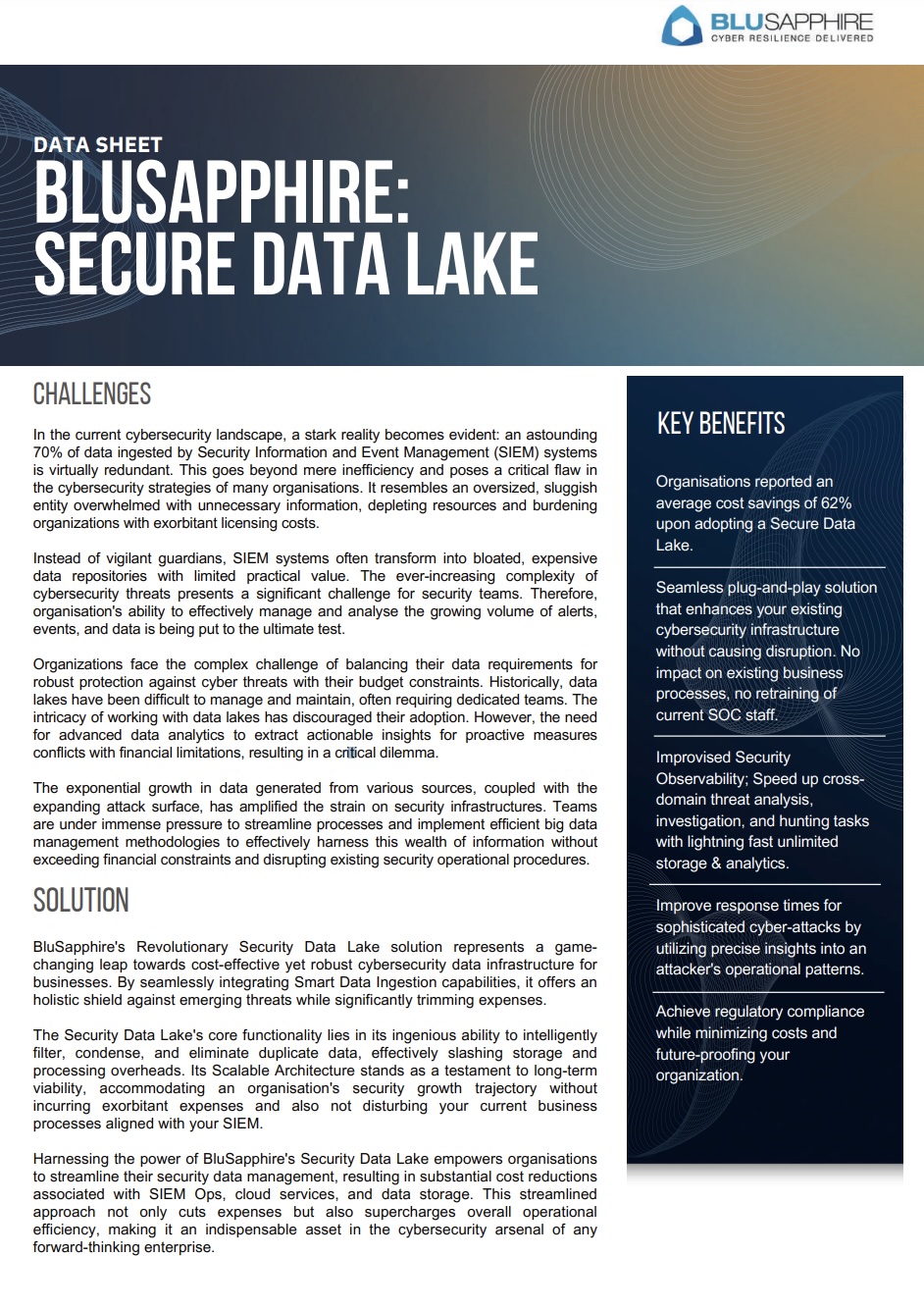BLUSAPPHIRE: Secure Data Lake
